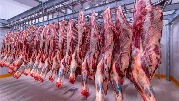 أسعار اللحوم اليوم