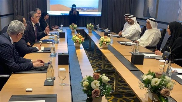 الرئيس التنفيذى للهيئة