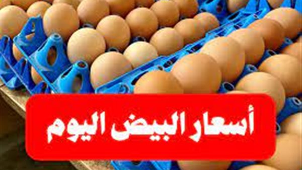 سعر كرتونة البيض