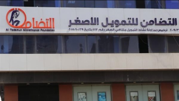 التضامن للتمويل الأصغر
