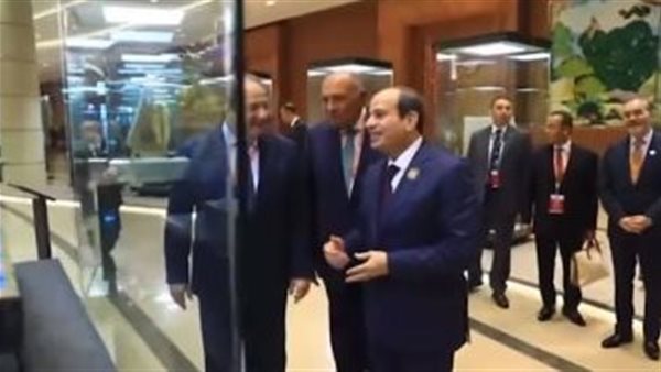 الرئيس السيسى يتفقد
