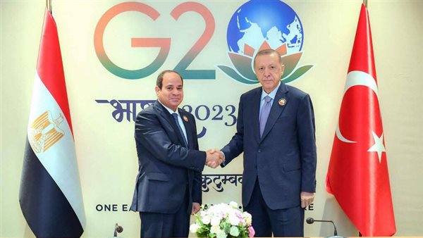 الرئيس السيسي واردوغان