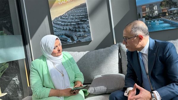 الدكتور أحمد شلبي