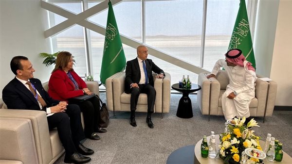 وزير الإسكان يلتقى