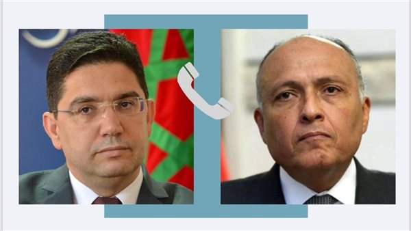 وزير الخارجية يجري