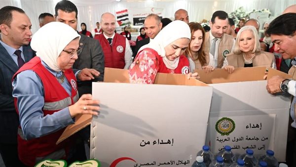 التضامن الاجتماعي