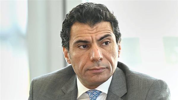 أيمن عامر: تقييم