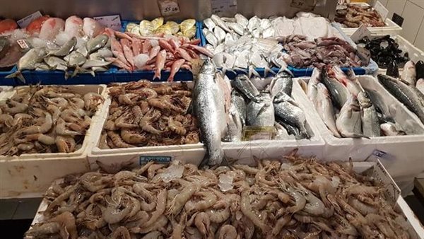 أسعار الأسماك اليوم