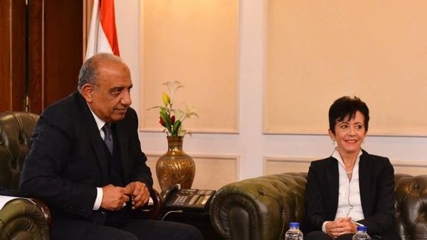 وزير قطاع الأعمال