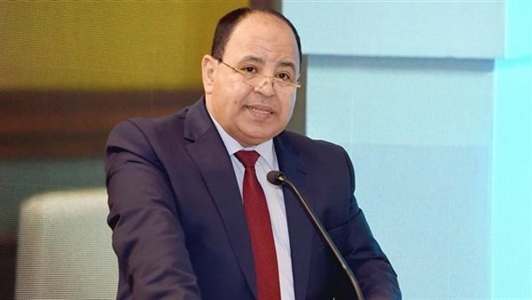 وزير المالية محمد