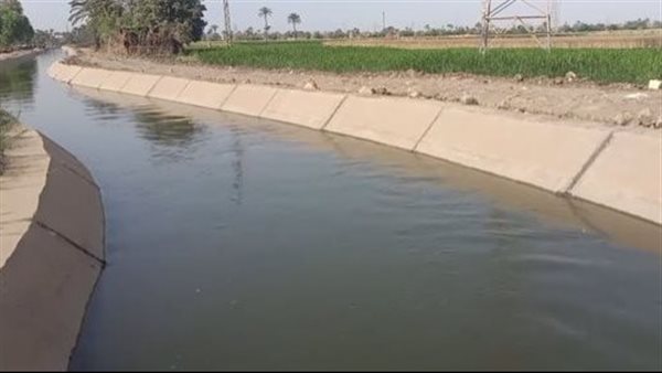 أصول مصر
