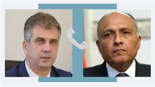 سامح شكري وزير الخارجية