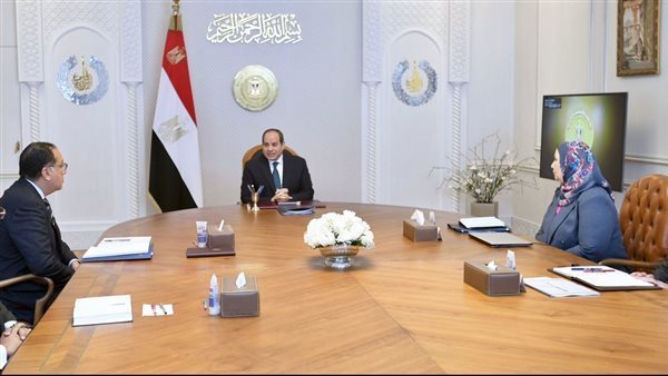 الرئيس السيسى خلال