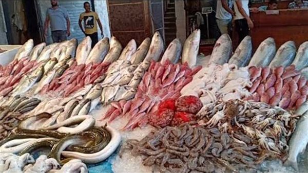 أسعار الأسماك اليوم