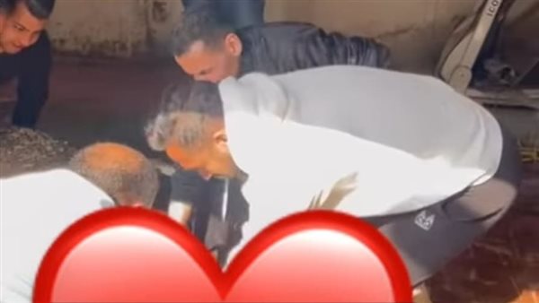 كهربا