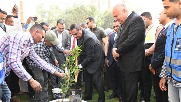 التنمية المحلية
