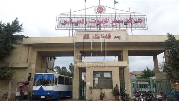 شركة القاهرة للزيوت
