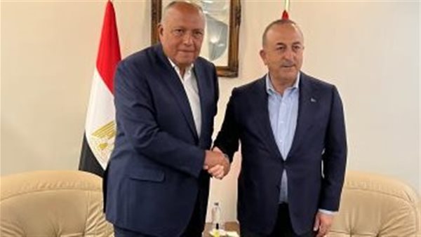 وزير الخارجية يستقبل