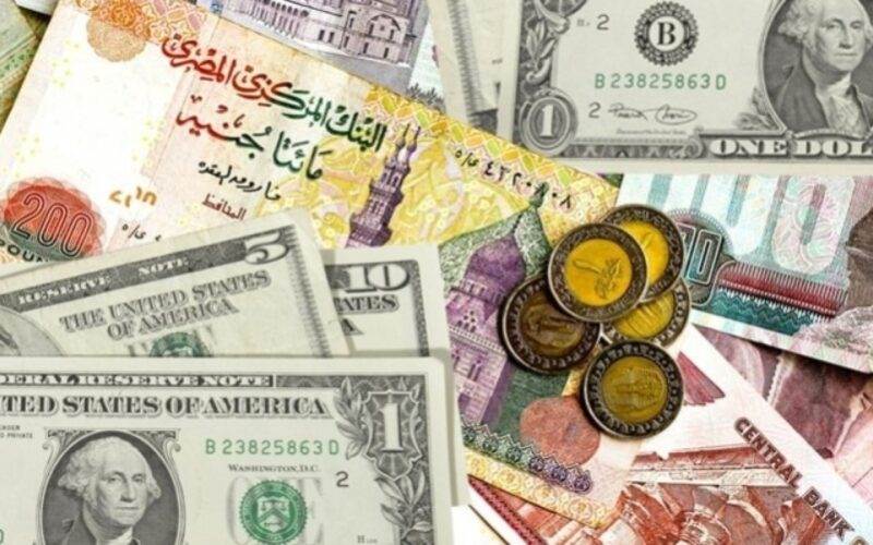 سعر الدولار اليوم في البنوك المصرية الأحد 4-9-2022